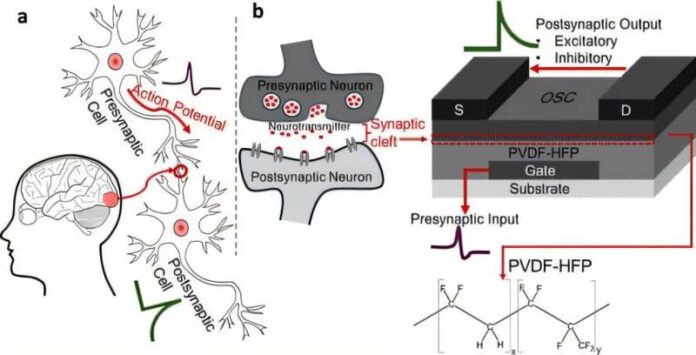 Brain-like neuromorphic chip for AI