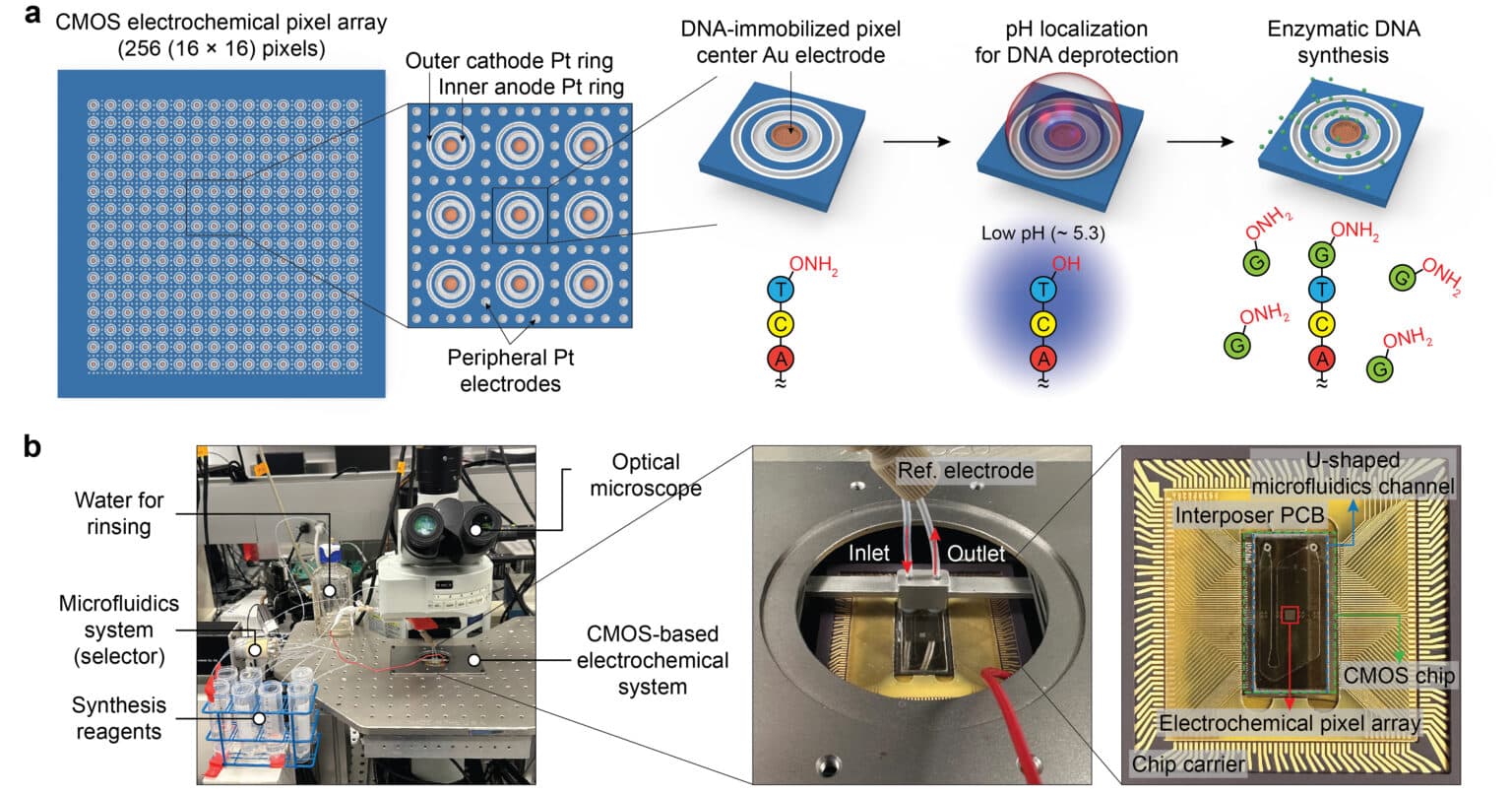 Semiconductor chip for parallel DNA writing
