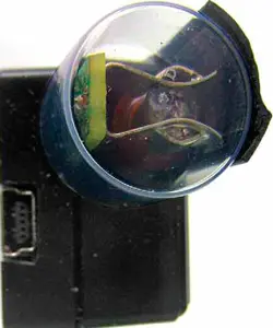 Низковольтный вывод счётчика Гейгера, закрытый снаружи декоративным колпаком