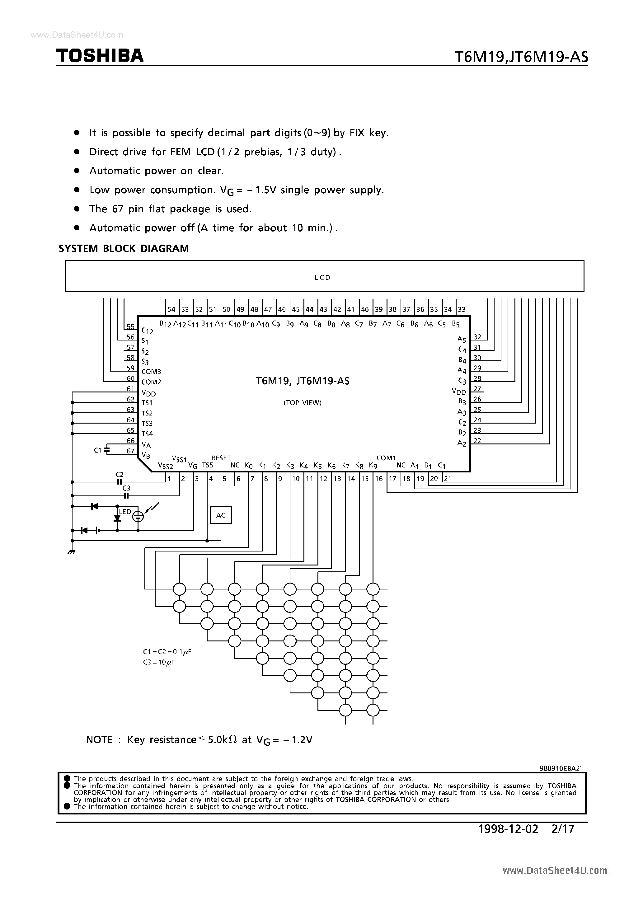 Datasheet T6M19 - CMOS 1 CHIP LSI page 2