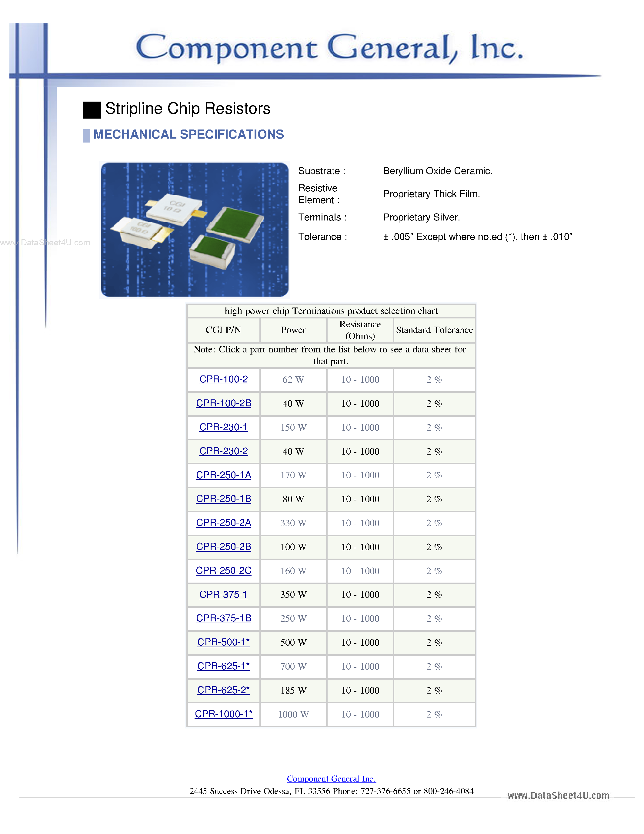 Datasheet CPR-100-2 - (CPR-xxx) Surface Mount Resistors page 1