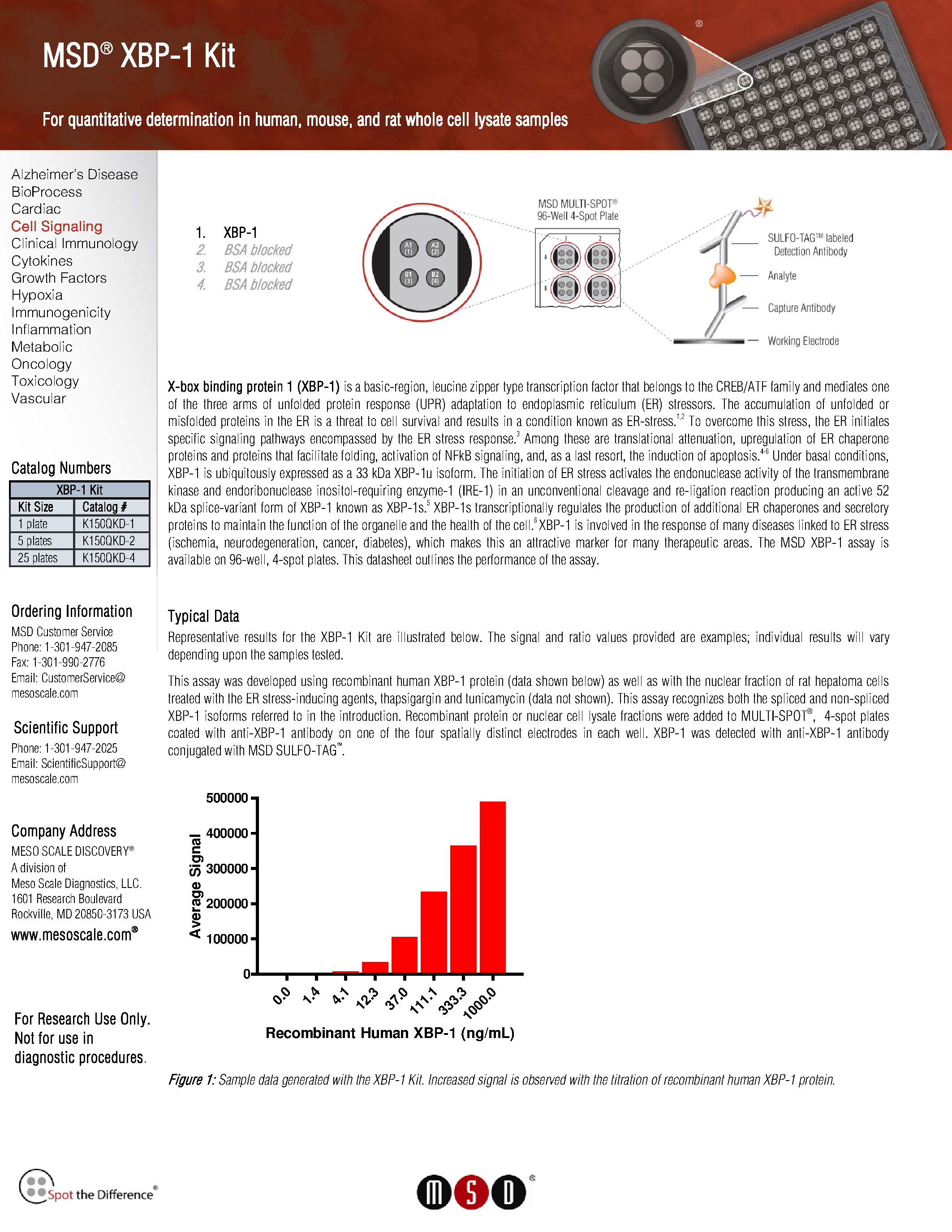 Datasheet XBP-1 - page 1